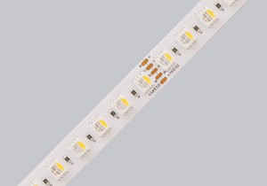 24V-96LED-5050RGBW